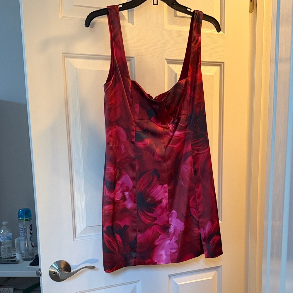 Lovers + Friends Red and Pink Floral Mini Dress